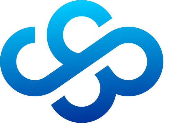 Cloud Services Provider Inc
